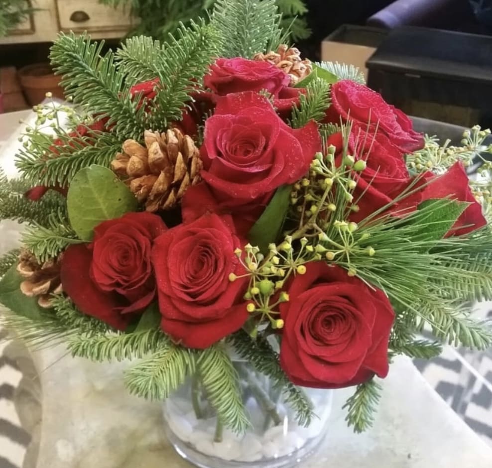 Holiday Roses - One dozen red roses on a glass cylinder with Christmas Greens 