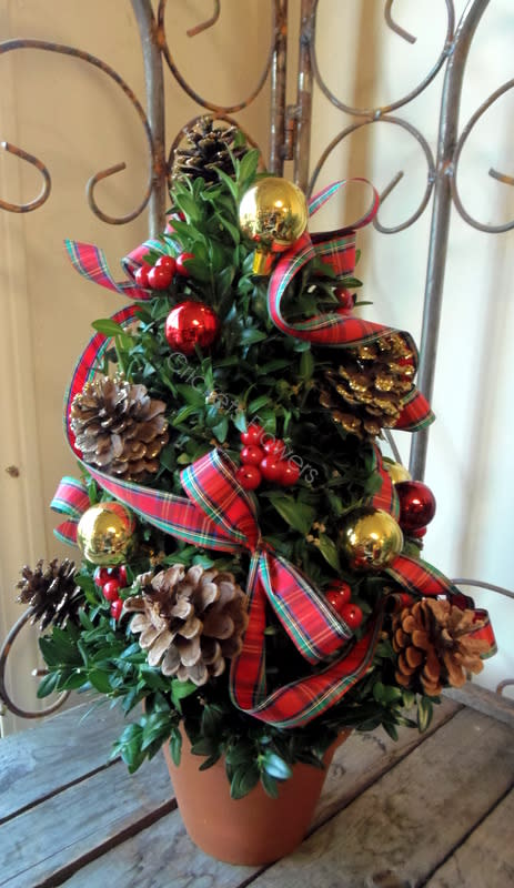 Plaid Boxwood Tree - Available starting Dec. 1 There's nothing like a little holiday tree to liven up the holidays, and this one's decor will definitely rouse the room. A 22&quot; Plaid  boxwood tree decorated with berries, balls,  and ribbons arrives in a clay pot.