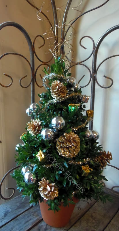 Boxwood Tree Silver and Gold -  There's nothing like a little holiday tree to liven up the holidays, and this one's decor will definitely rouse the room. A 22&quot;boxwood tree decorated with , silver and gold,  balls, and ribbons arrives in a clay pot.