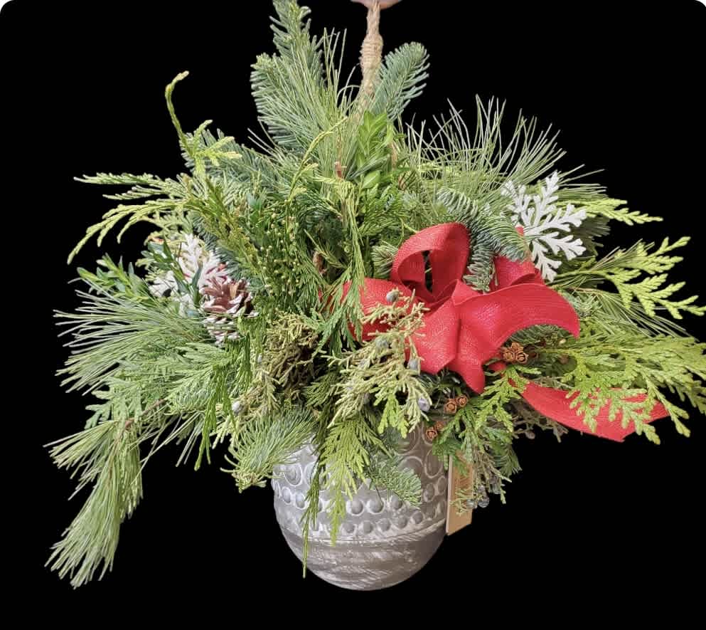 winter hanger in metal bowl - Winter hanger, in metal pot, with mixed winter greens, pine cones and décor and bows 