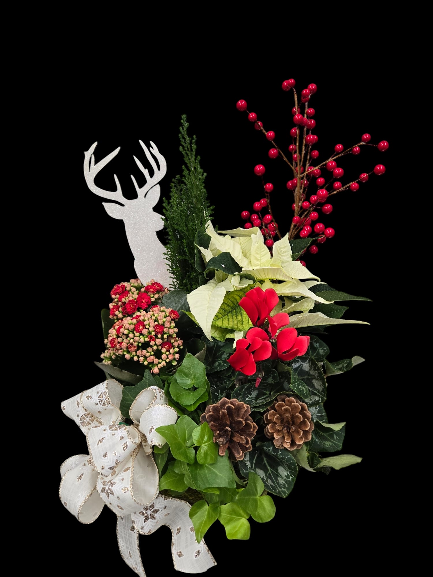 Winter Dishgarden Basket - Miniature live  tree make this basket a gift that will really grow on whoever is lucky enough to receive it. And keeping spirits bright - there are also festive flowering plants and other holiday touches.  Pretty juniper trees join red kalanchoe and cyclamen plants, real pinecones and ribbons in a pretty basket.  