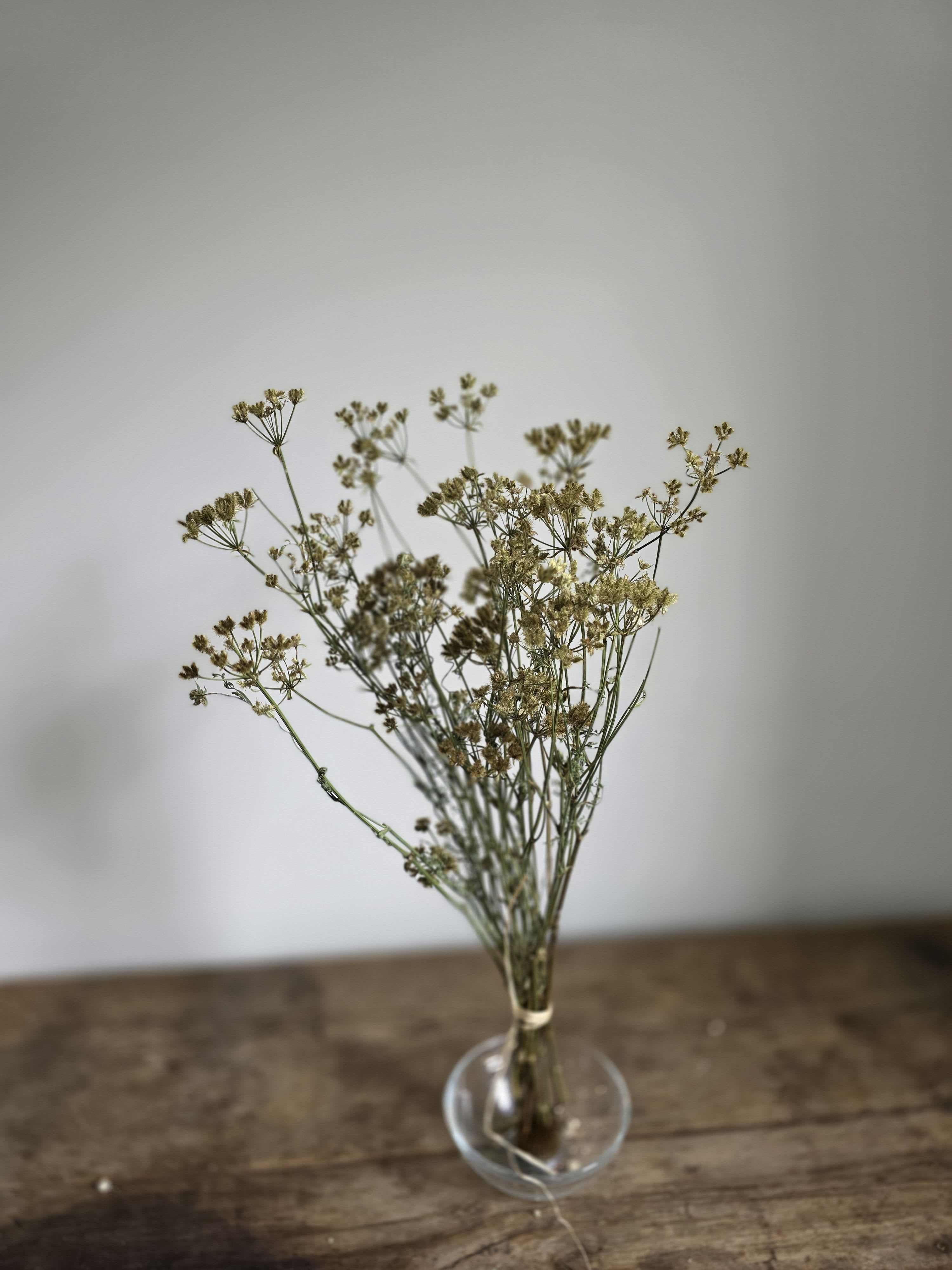 Dried Flower Bunch - Orlaya Pods - Naturally beautiful and effortlessly timeless, our Dried Flower Bunches are perfect for styling vases, crafting arrangements, or adding a touch of texture to your space. Each bundle features carefully preserved botanicals with long-lasting color and structure—no water or upkeep needed. Mix and match for a custom look or let a single variety shine on its own.  Orlaya Pods