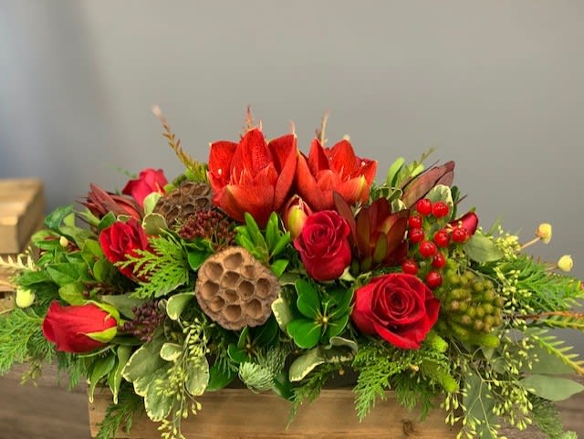 Crimson Christmas - Red amaryllis and red roses accented with winter greens 