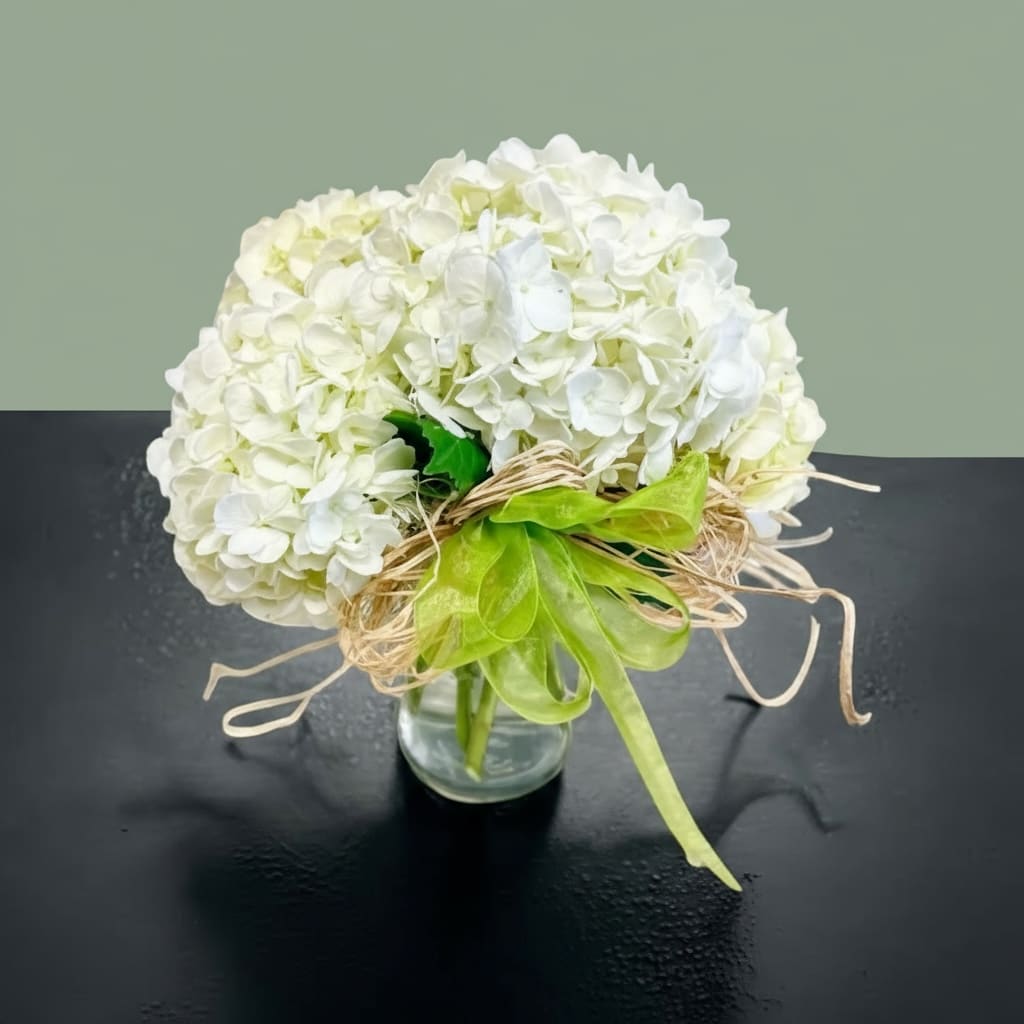 White Hydrangea Cluster - Hand gathered hydrangeas clustered together and placed in a cylinder vase accented with raffia and ribbon