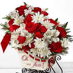 Holiday Traditions Bouquet - Ride into the season with a joyful burst of holiday blooms! We bring together red roses, red carnations, and red mini carnations, offset by snowy white Peruvian lilies and chrysanthemums, accented with an assortment of Christmas greens. Presented in a holiday sleigh,  this holiday flower arrangement is set to send your warmest yuletide wishes to friends and family no matter the distance. Sleigh is approx 9½&quot;W x 3 ¾&quot;D x 6 ¼&quot;H.  IMPORTANT NOTE: Delivered sleigh will be different from the pictured sleigh.
