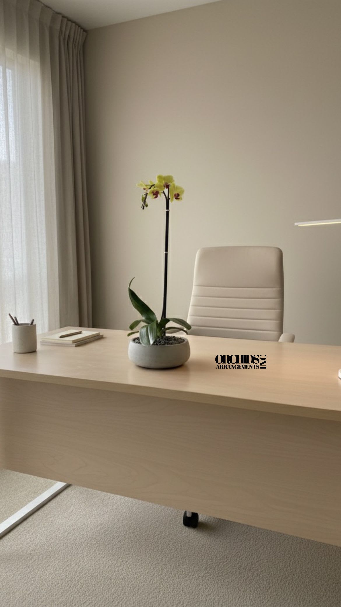 Same Day Phalaenopsis Yellow Flowers - A high quality Single Yellow orchid arrangement with a vase 8.5&quot; D X 3&quot; T. An orchid arrangement deliver for any occasion design with fresh natural real beautiful Phalaenopsis cascade orchid plant minimalist decor. 