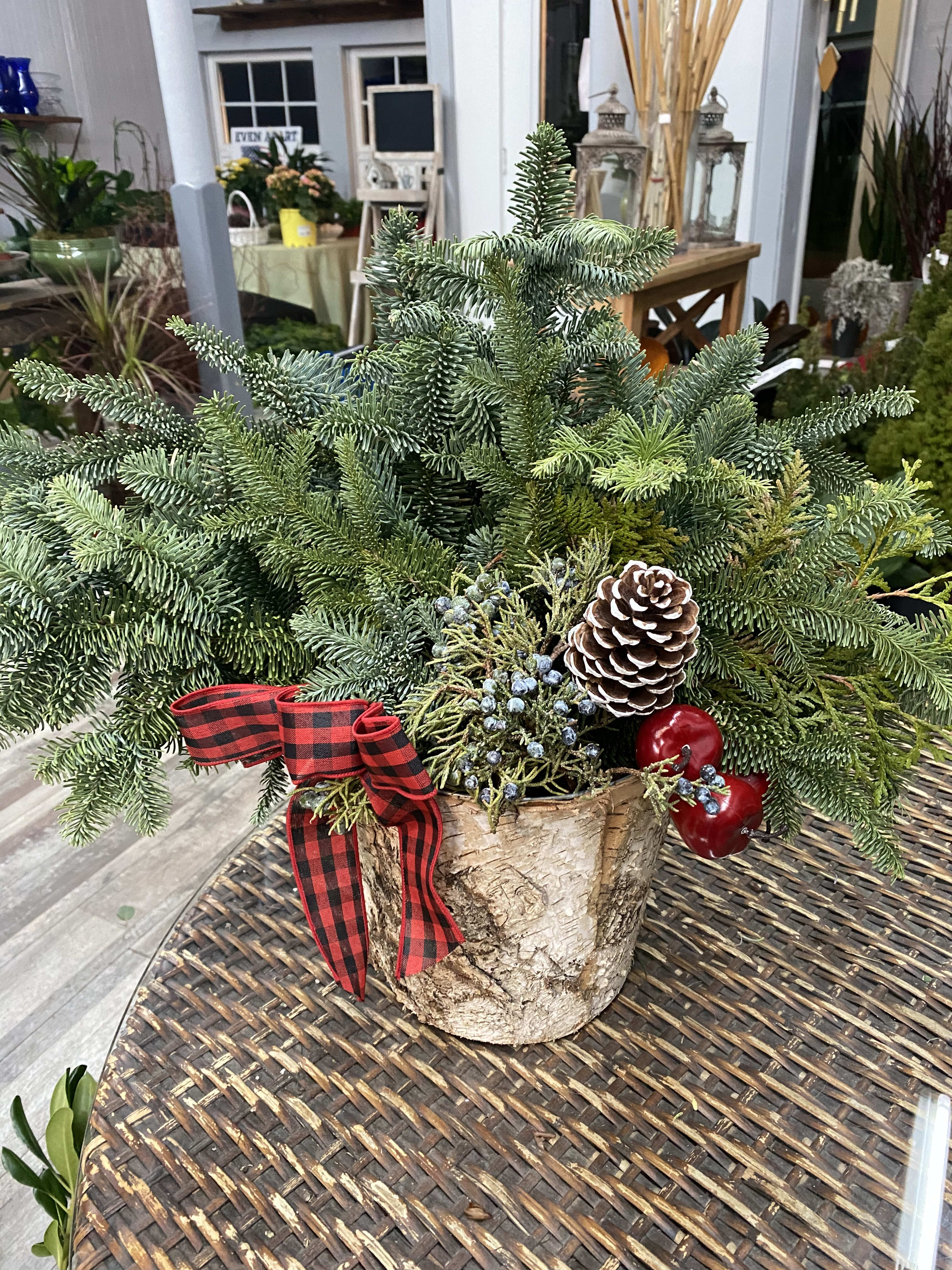 Birch evergreen planter  - This planter has a mix of long lasting evergreens. It is tastefully dressed with branches, pine cones, berries and a bow. Perfect for an entryway, patio or cemetery. 