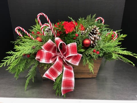 Evergreen wooden box style  - This adorable arrangement is designed in either a wood or white washed box. Evergreens, pine cones, berries, candy canes and a bow. A perfect holiday gift that will last for weeks. 