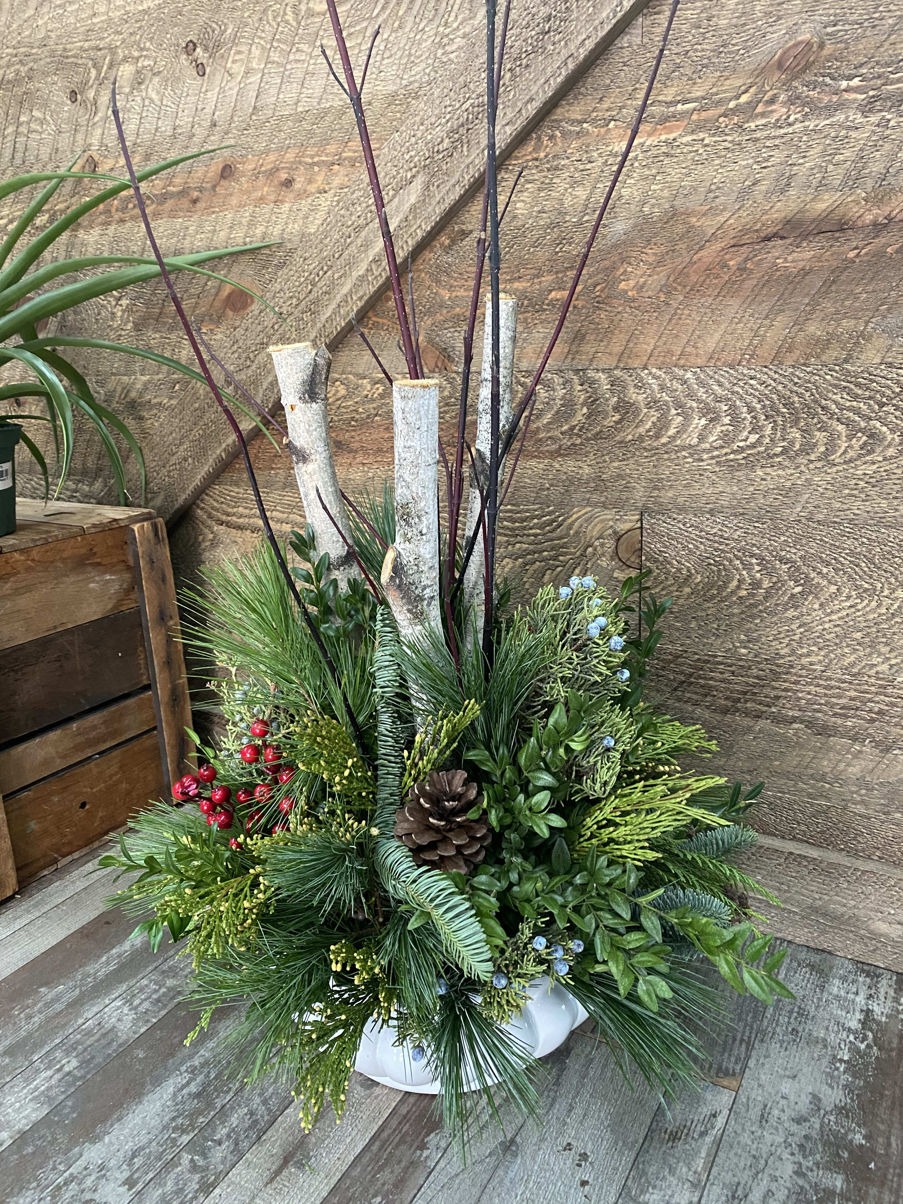 winter wonder planter - This beautiful, long lasting, evergreen arrangement arrives in a scalloped ceramic container. Very low maintenance, only needs some water and will last through the season. Perfect gift for anyone.