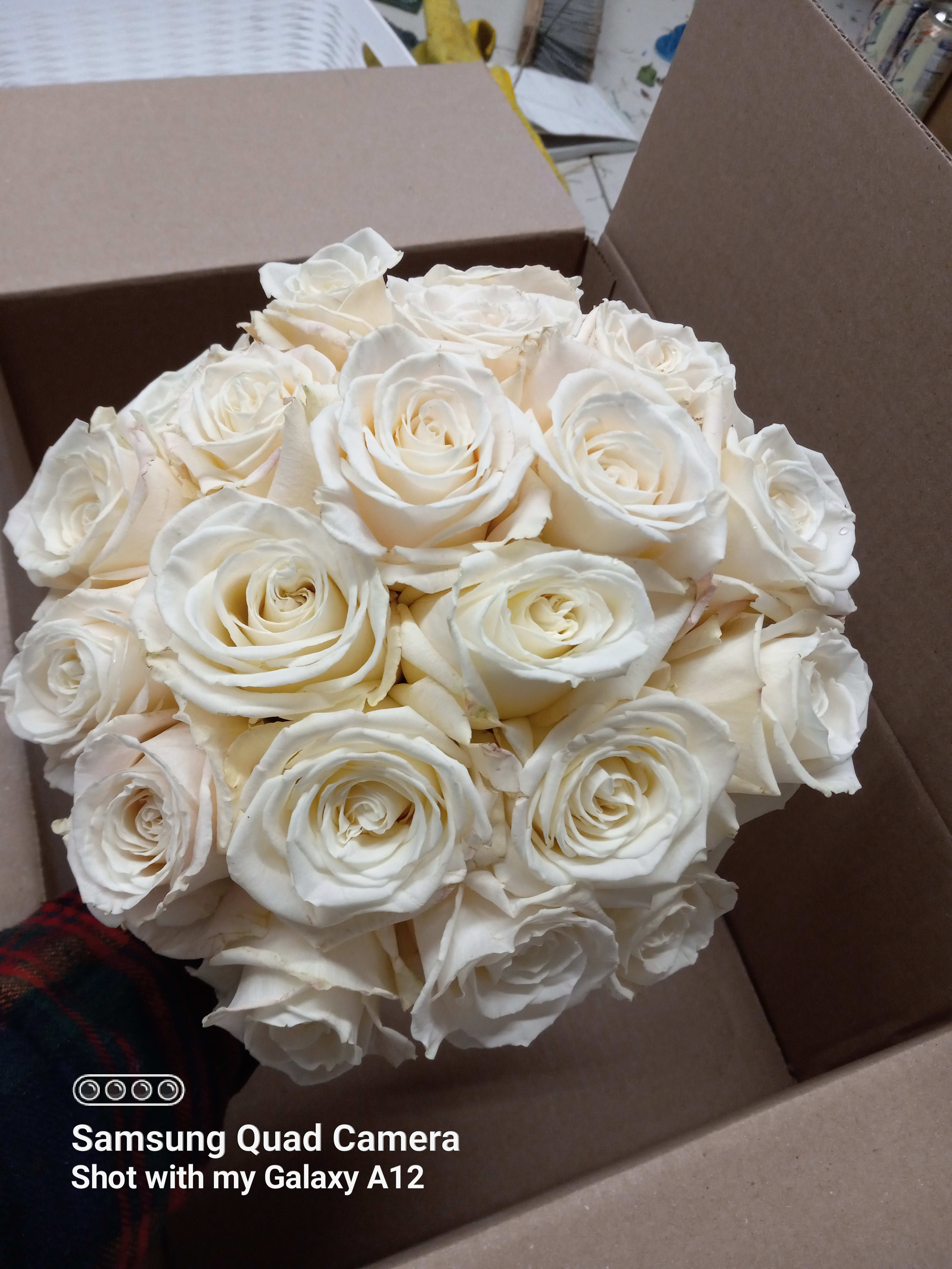 "All roses" bridal bouquet - Beautiful all white roses classical bridal bouquet