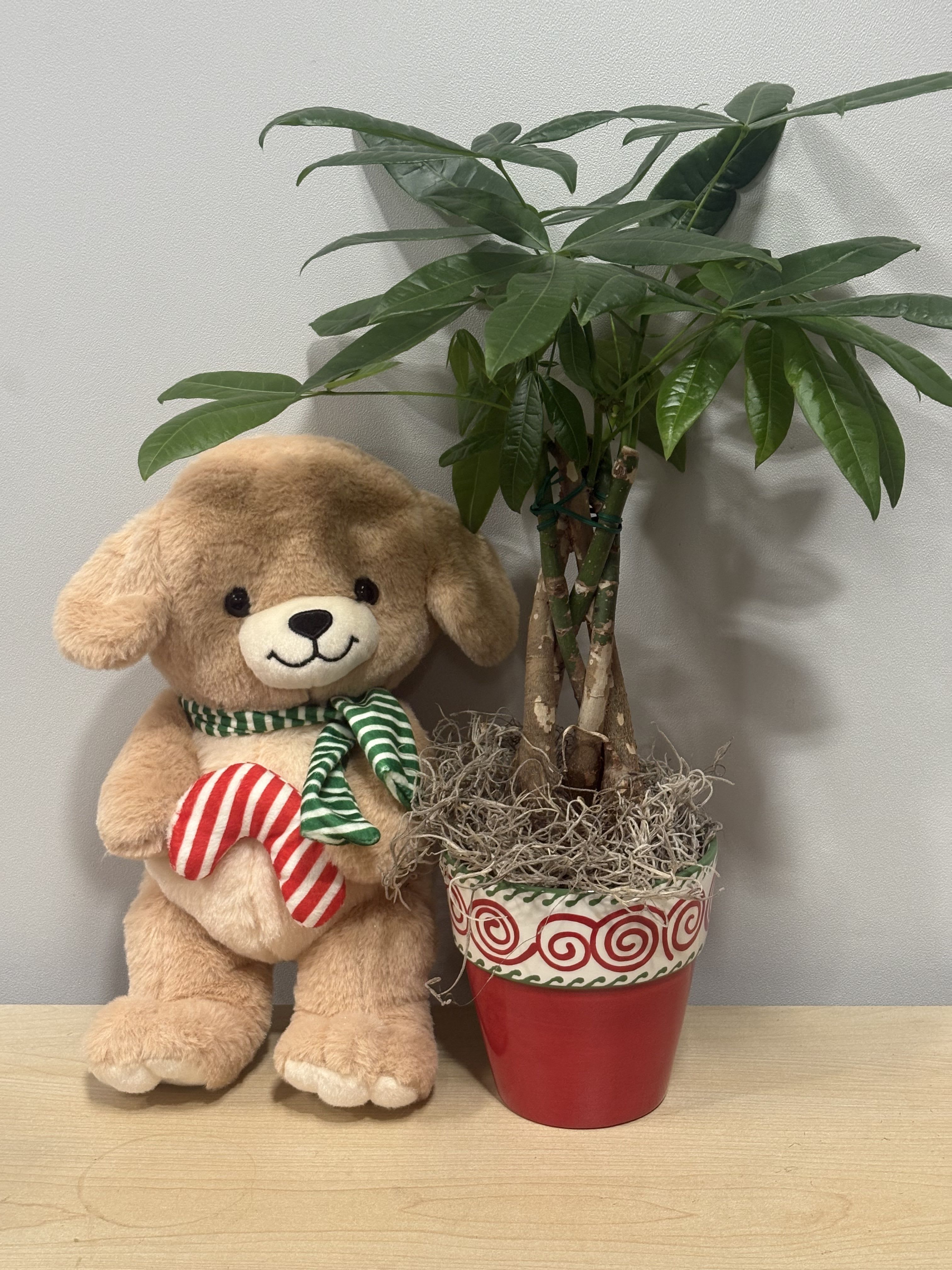 Holiday Tree &amp; Candy Cane Doggy - As shown 