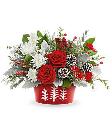 Teleflora's Snowy Pines Centerpiece - Snowy Pines Centerpiece captures the beauty of the holidays with red roses, white blooms, and winter greens. Arranged in the Snowy Pines Dish, it's a charming touch for Christmas dinners or seasonal gifting. Snowy Pines Centerpiece includes red roses, red miniature carnations, white chrysanthemums, white limonium, dusty miller, parvifolia eucalyptus, salal, white pine, and frosted pinecones-arranged in the Snowy Pines Dish for festive holiday charm.