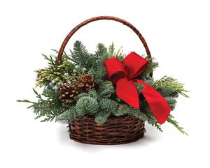 Evergreen Holiday Basket  - Deck the halls! This lovely basket is filled with assorted evergreens and love! This is a long lasting design and sure to bring smiles across the miles. Basket and bow colors vary.