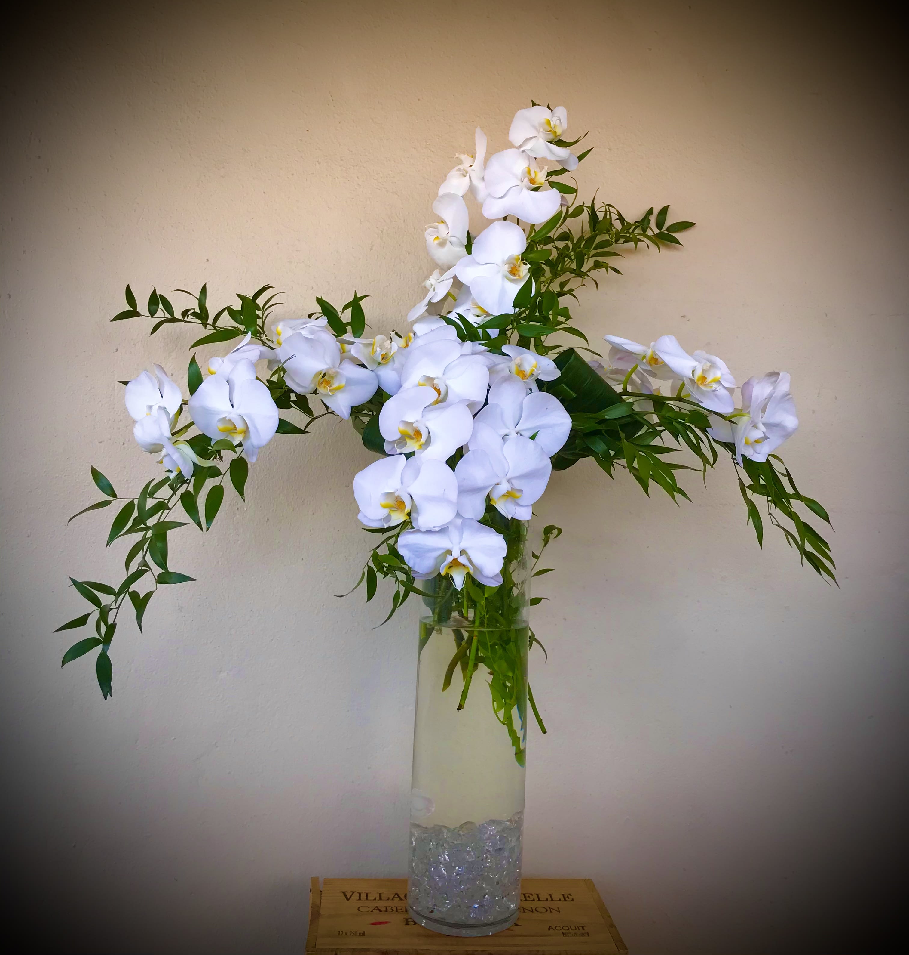 Orchid blooms  - Orchid blooms with green in tall glass vase 