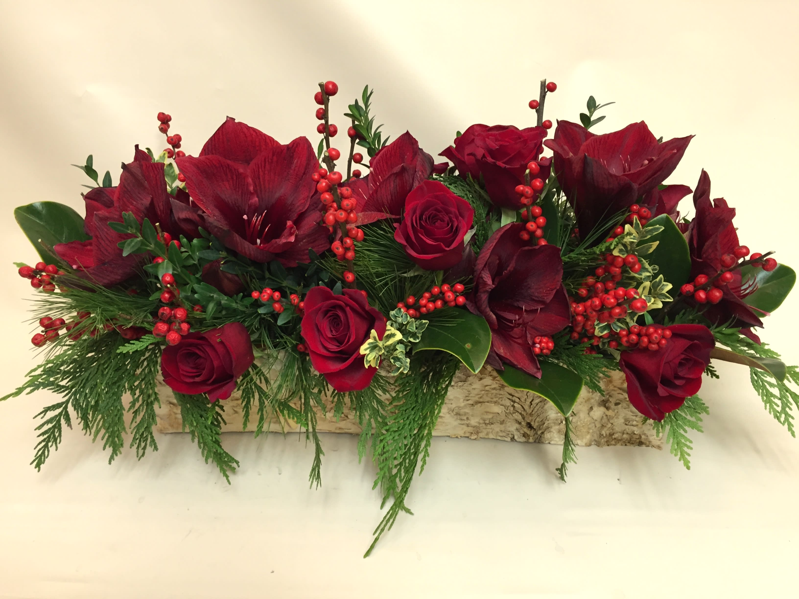 Awesome Amaryllis - Amaryllis arranged in a oblong centerpiece style. color may vary with daily inventory. Sure to get attention and praise from everyone! Not available for immediate delivery. Amaryllis may need a several days to open. Order early and we'll do our best to send it at it's prettiest..