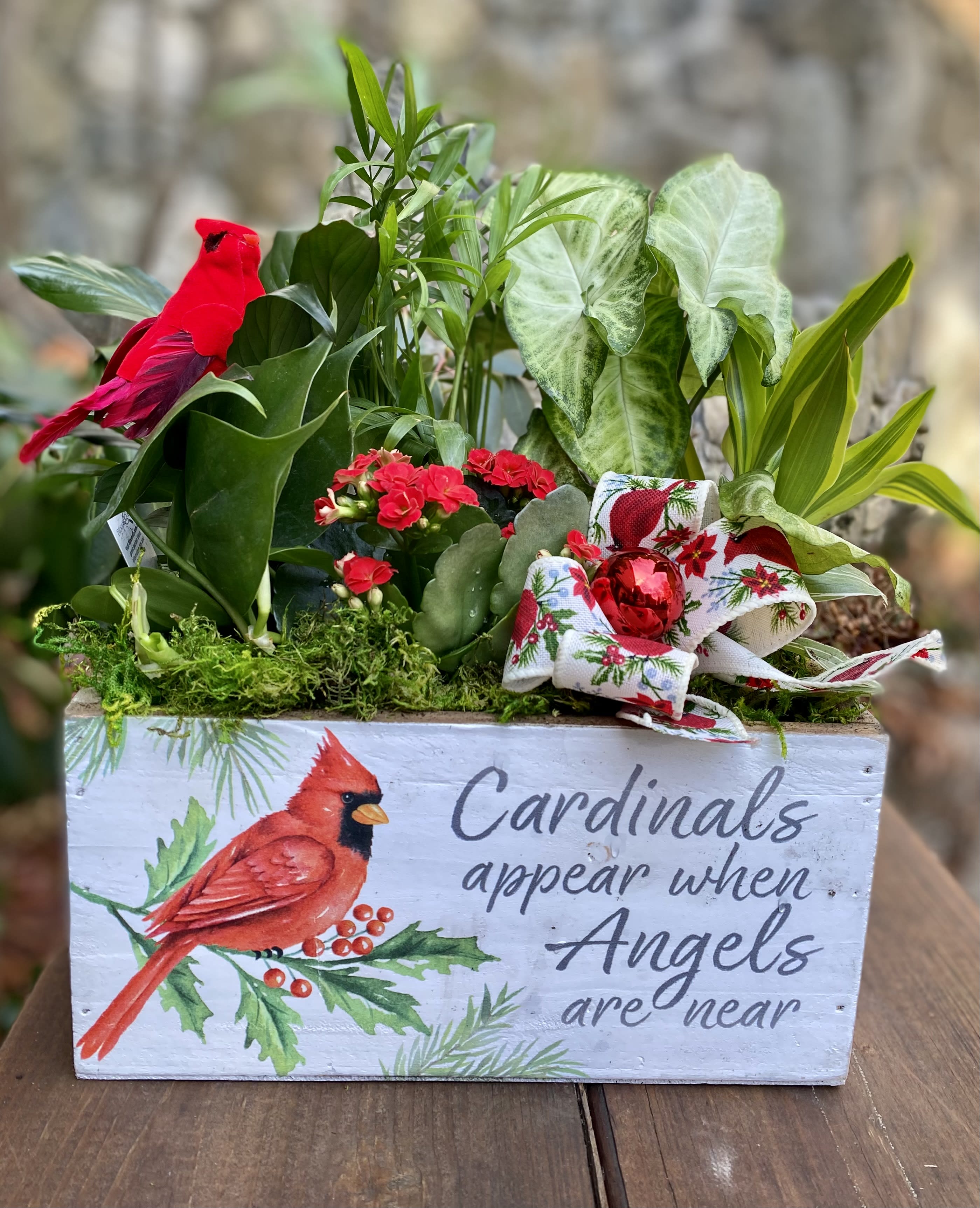 Heaven and Nature Sing Garden - A lovely holiday garden featuring a pretty bloomer and an assortment of healthy green plants. All potted up in a special wooden container with a heartwarming thought .... when you see a cardinal, a loved one is near. **Each garden is unique, but all will be lovely and similar to the picture.**