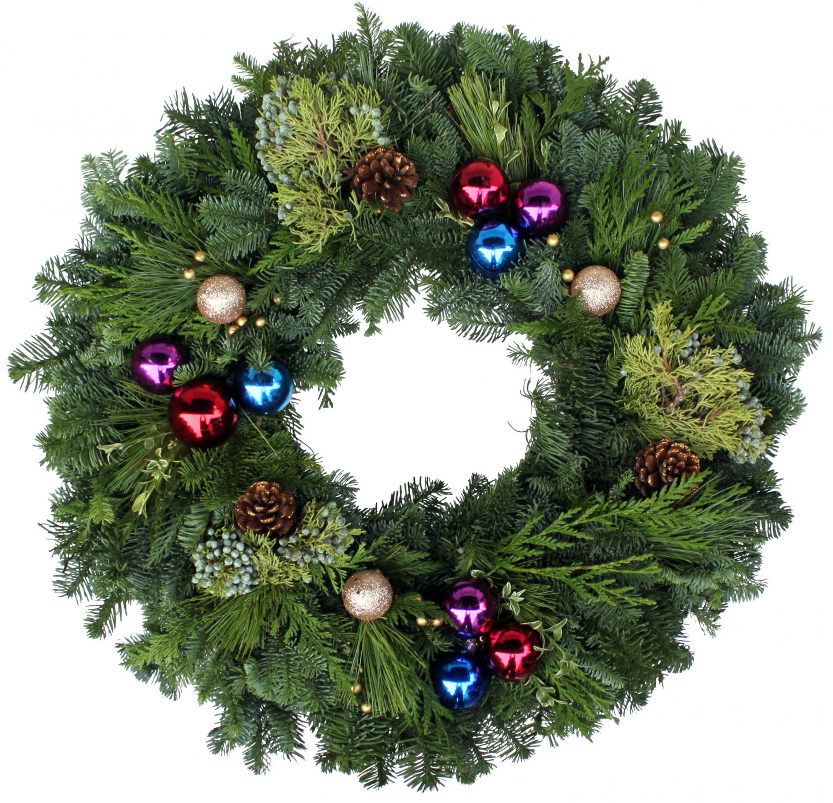 24 inch Festive design live wreath - This cheerful assortment of colorful ornaments, gold sprays, glitter cones, and Noble Fir accented with Western Red Cedar is indeed festive. As with all our wreaths, they are hand tied and specially treated. Beautifully made.  24&quot; Overall.   All Christmas wreaths are pre-dipped for extended shelf life.    This hand-made product makes a great gift and may differ slightly from the picture shown. 