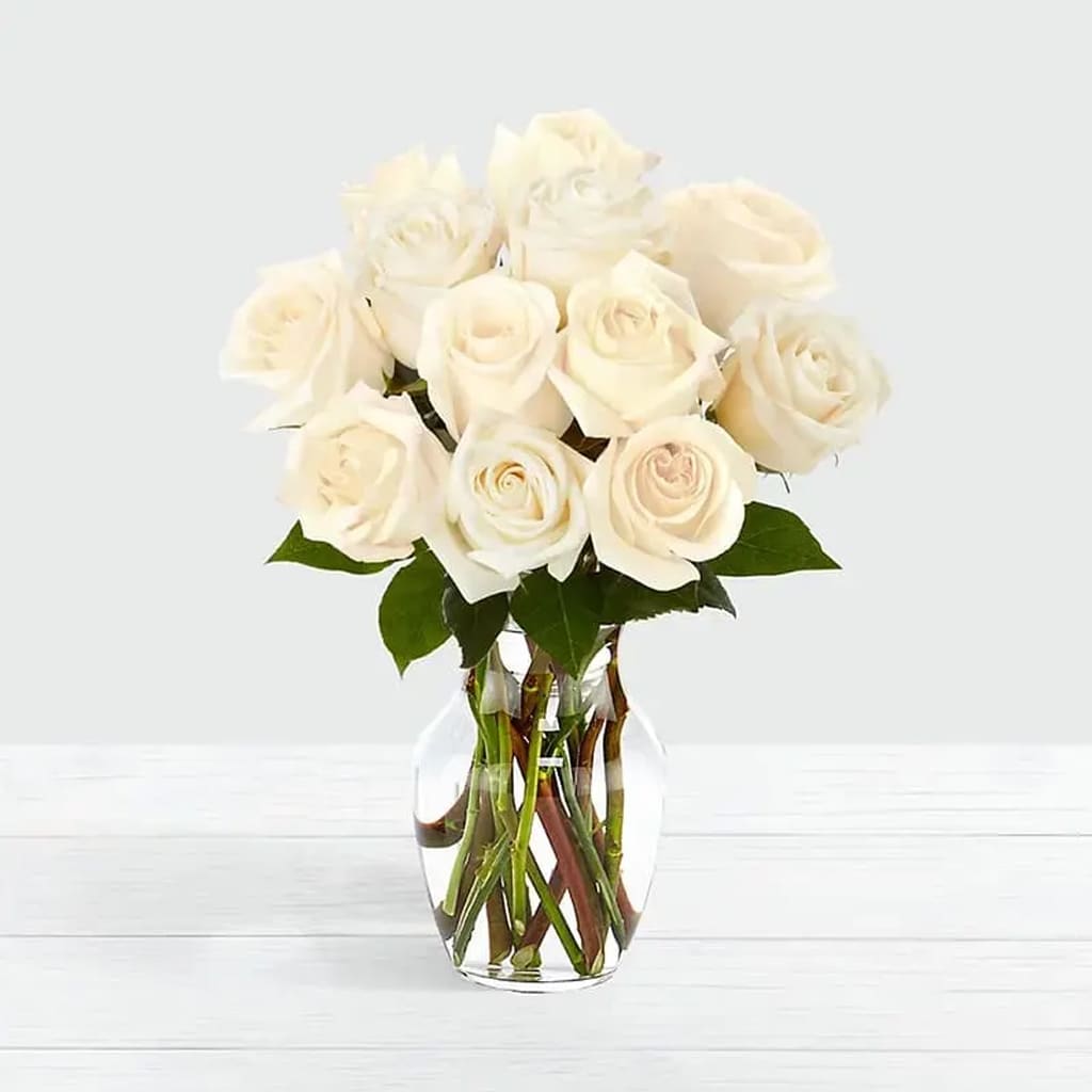 White Creamy Classic Roses Bouquet - Standard White Roses Bouquet crafted in a simple glass vase that creates a timeless expression. White roses are often associated with purity, innocence, and new beginnings, making this bouquet a popular choice for events such as weddings, and engagements, and as a gesture of sympathy or remembrance. Approximately: 16&quot; H x 14&quot; W.  The standard bouquet includes 12 stems.  The deluxe bouquet includes 18 stems. Premium bouquet includes 24 stems.  