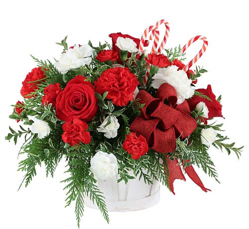 Holiday Flower Basket -  Traditional red and white colours with ample seasonal greens, make this gift a real favourite. Featuring carnations and miniature carnations, candy canes and a red bow - all expertly arranged in a handled wicker basket.