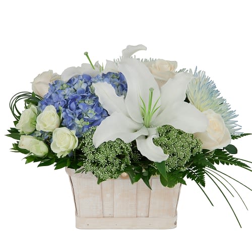 Comfort  Basket - Send comfort where there's need, with this fresh basket design, featuring cream roses, white lilies, spray roses, Queen Anne Lace, hydrangea and fuji mums with added greenery.