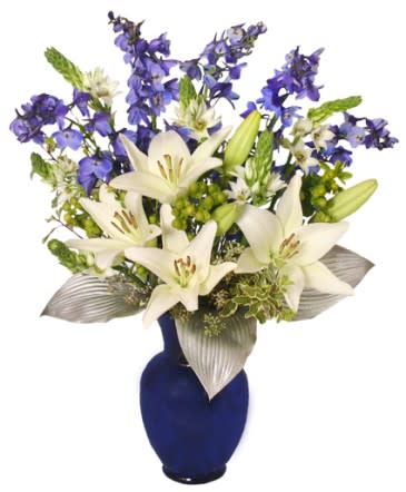 SHIMMERY WHITE &amp; BLUE BOUQUET - Celebrate beautifully with a special occasion arrangement from Amor Florist &amp; Gift Baskets. With accents of silver foliage, this bouquet features the purity of white lilies and star of Bethlehem, and tall, graceful stems of brilliant blue delphinium