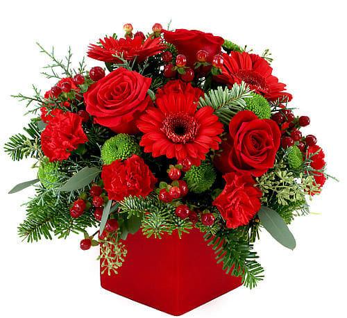 Christmas Cheer  Floral Arrangement - Send some Christmas cheer with this stunning new design ,Presented in a festive red cube, this fun and festive piece is perfect for holiday gifting this Christmas season! 