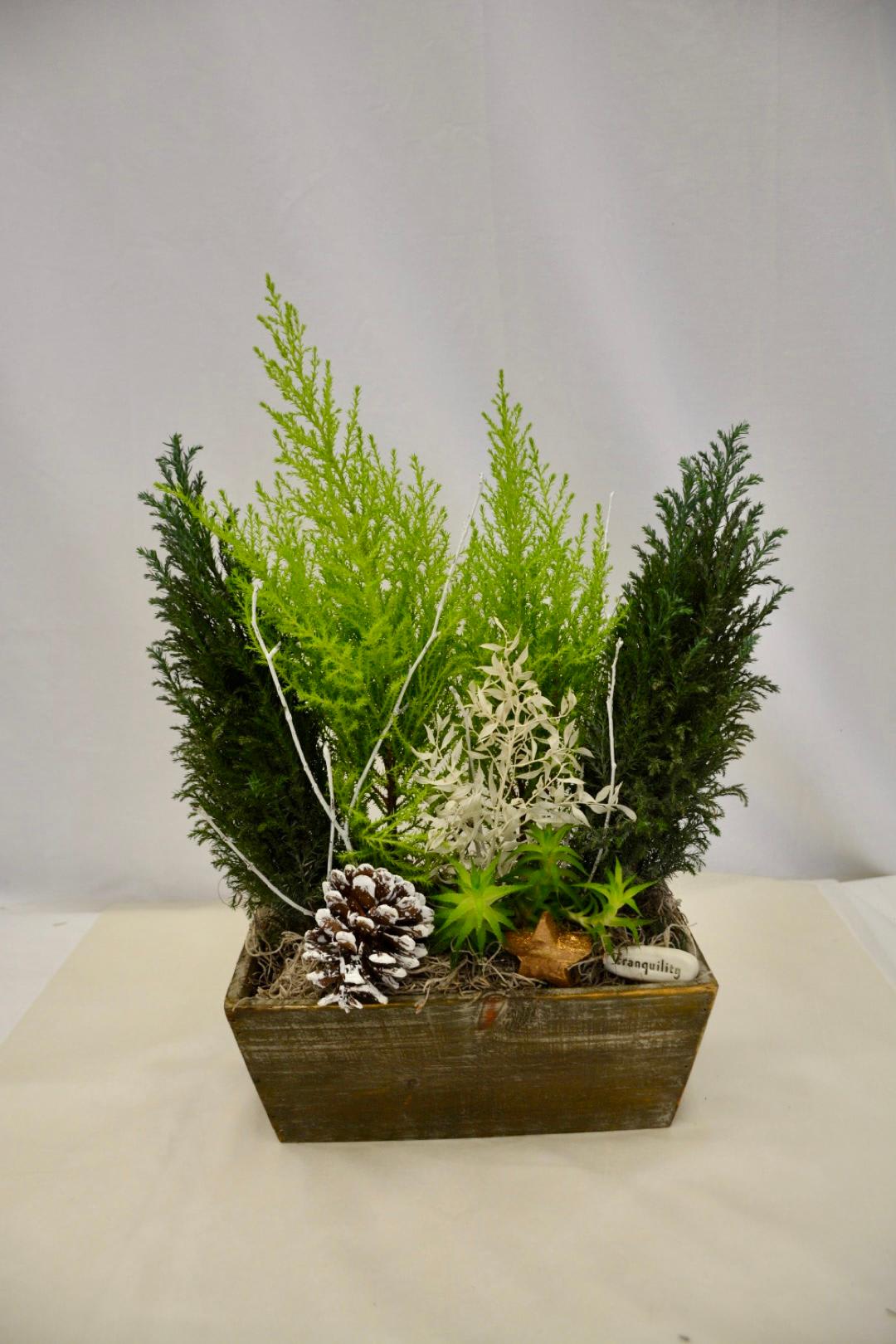 Fields of Winter - Winter cypress nestled with succulents with pinecone and white birch accessories set in wood moss filled vessel with "tranquility" blessing stone.