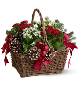 Christmas Garden Basket - This charming garden basket filled with bright, blooming plants in traditional holiday colors of crimson and white - trimmed with real pinecones, gleaming red ornaments and velvet ribbons - is perfect for everyone on your list.  Potted red and white blooming plants – with evergreens and Spanish moss – are delivered in a woven handled basket trimmed with pinecones, red Christmas ornament balls and velvet ribbons.  Approximately 14" (W) x 16" (H)  Orientation: All-Around  As Shown : TFWEB278