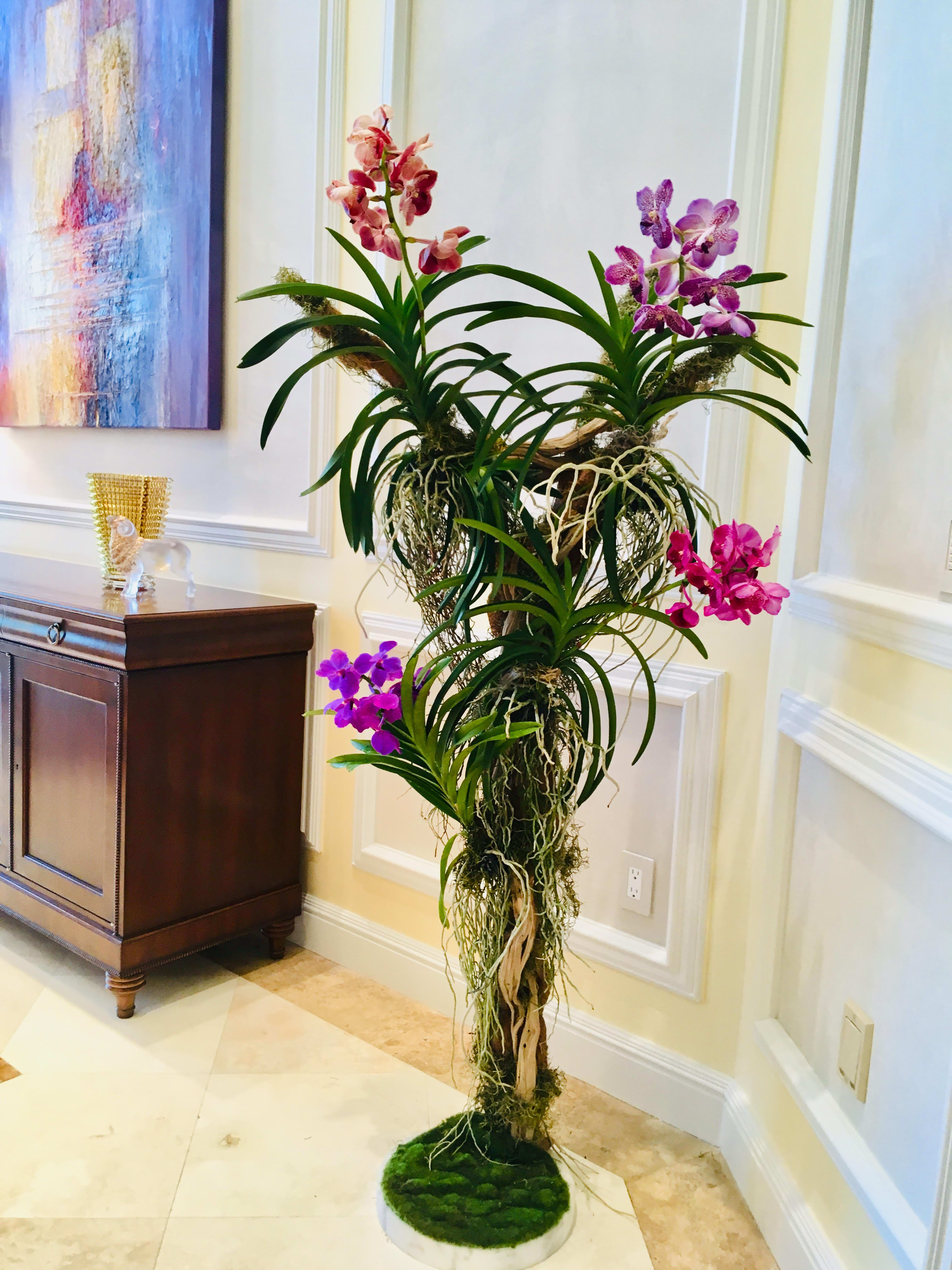 Vanda Tree - Orchid plants on wood tree (please allow 10 days to make it)