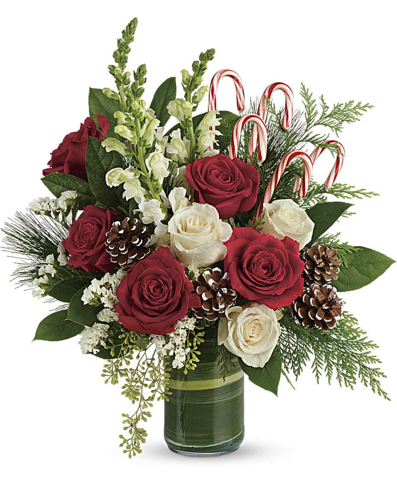  Festive Pines Bouquet - An instant Christmas party, this festive bouquet bursts with fresh blooms of red and creme colored roses with winter greens and fun-filled candy canes. Red roses, creme roses and white snapdragons are wrapped in a variegated aspidistra leaf and accented with seeded eucalyptus, lemon leaf, flat cedar, white pine, candy canes, and small frosted pinecones. Delivered in a clear glass cylinder vase. Orientation: One-Sided Picture Showing: Premium Size