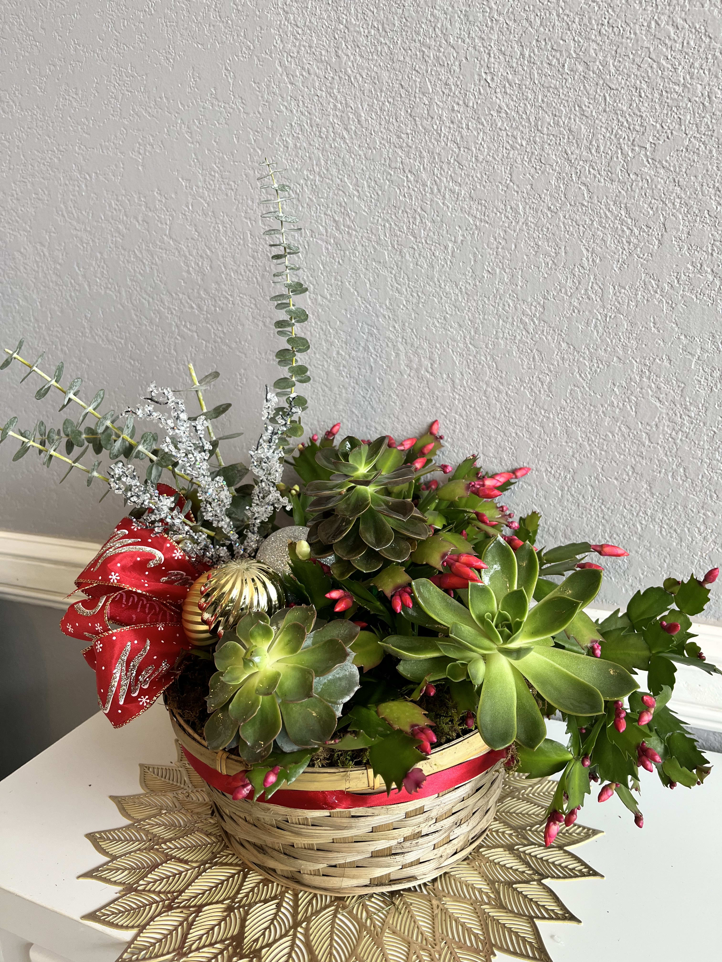 Christmas Cactus - Beautiful  10 &quot; Christmas cactus with succulents
