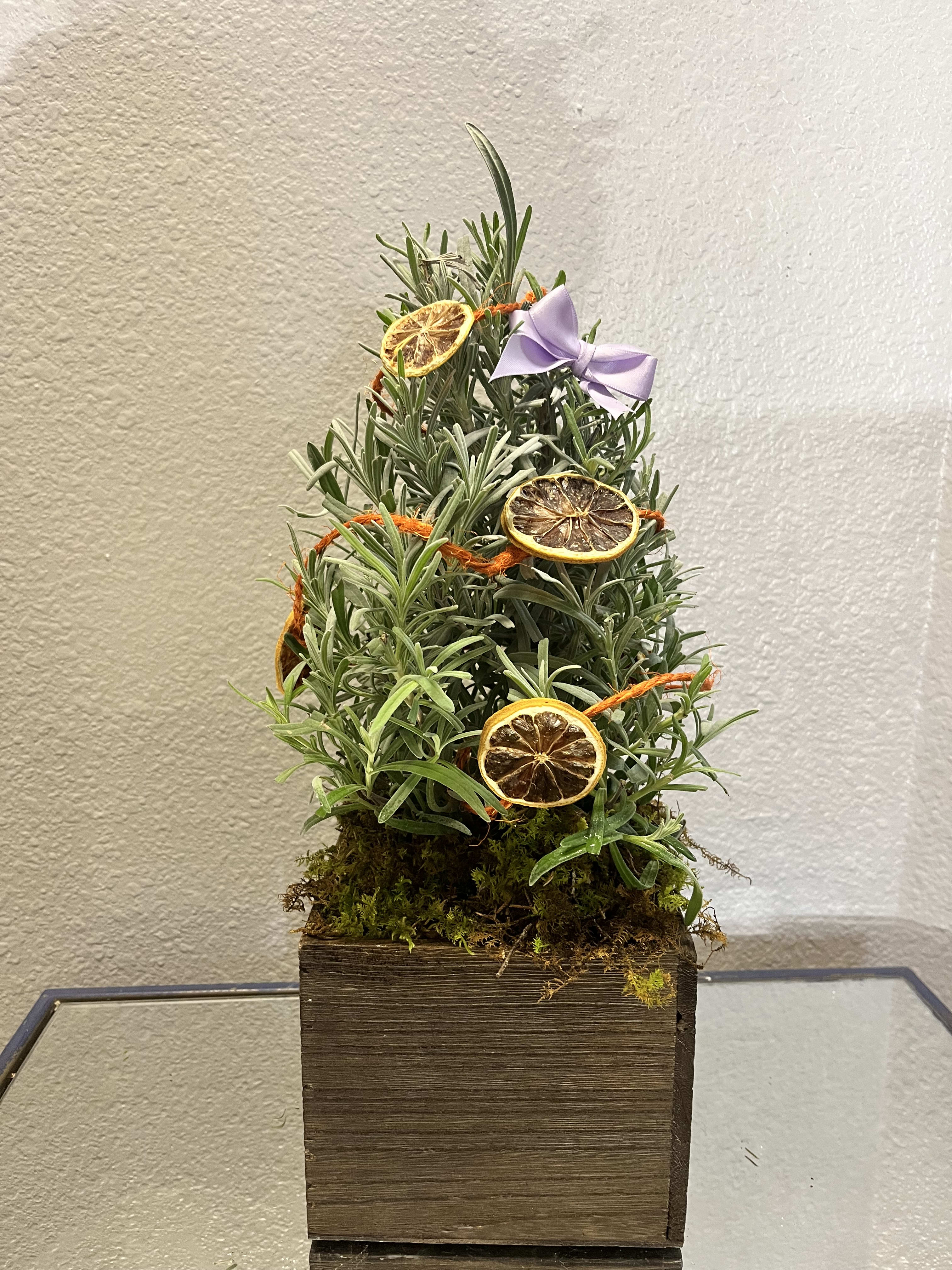 Lavender Tree - Send your love one an aromatic lavender tree dressed in dried oranges. 