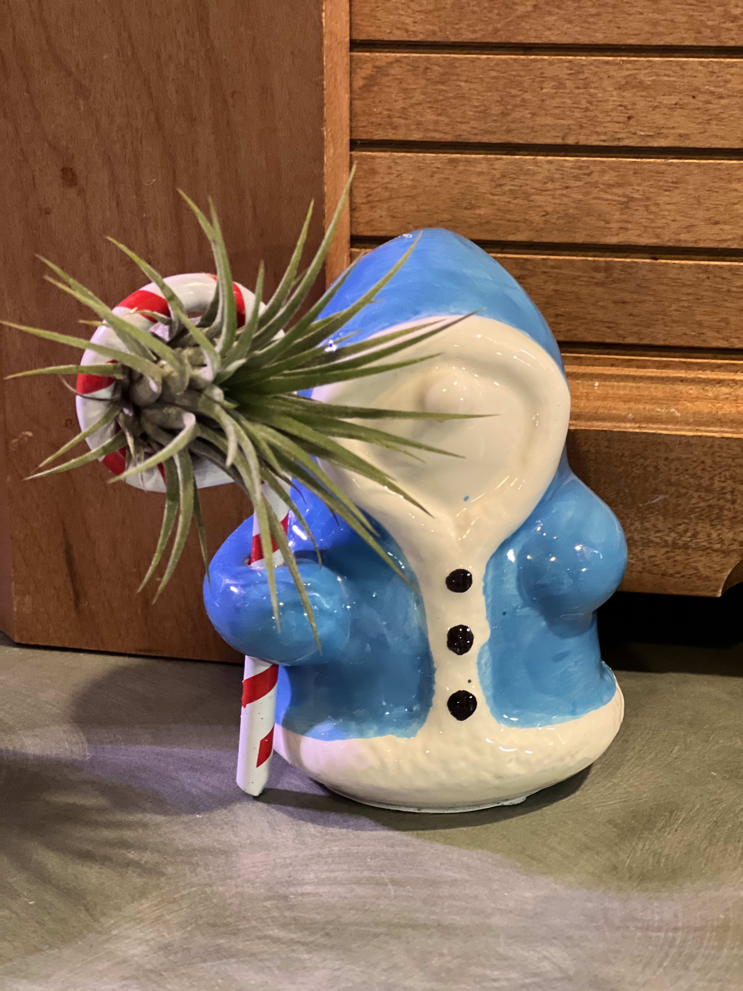 Winter Thaw - Winter Thaw is a cut as a button little guy with his winter jacket on. Holding an Air Plant (Tillandsia) in his candy cane walking stick. Approximate size is  3 1/2&quot; tall. Perfect for your desk or computer station. 