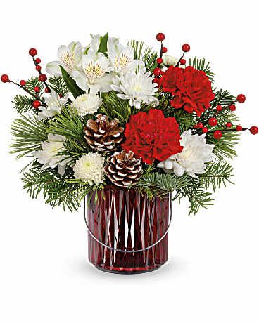 Luminous Charm - Adorn your halls with timeless holiday elegance! This delightful bouquet of Christmas roses is artfully arranged in a charming red lantern vase with a silver handle. It doubles as a lovely candleholder for future holiday seasons!