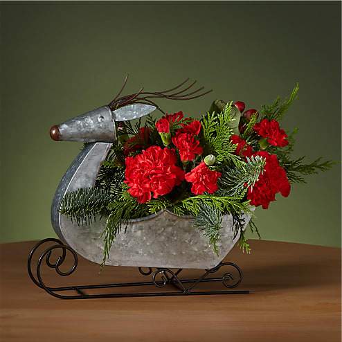 Prancer Bouquet - Fly into Christmas Eve with this dashing Prancer Bouquet designed in a festive reindeer sleigh. All your holiday favorites like red blooms, hypericum berries, and evergreen accents will drape over the playful reindeer, bringing the Christmas spirit to any room.