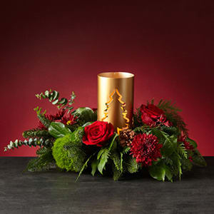 Through the Woods Centerpiece - Rekindle your appreciation for the beauty of a winter landscape with our Through the Woods centerpiece. While much of the natural world is dormant, liven your space with this rustic centerpiece's red florals and bright eucalyptus greenery.