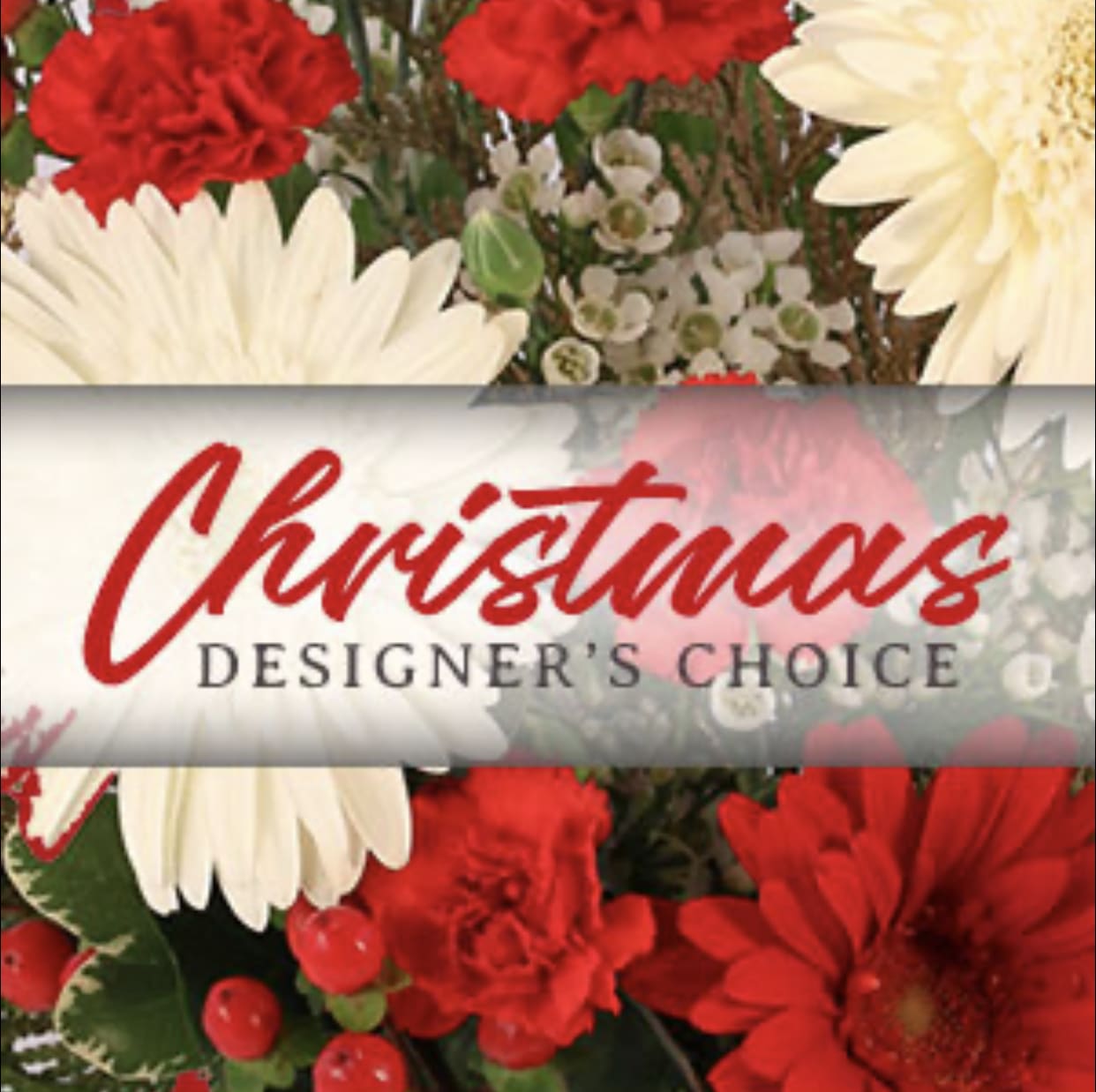 Red &amp;white Christmas designer choice - Evergreen plus mixed variety of red and white flowers 