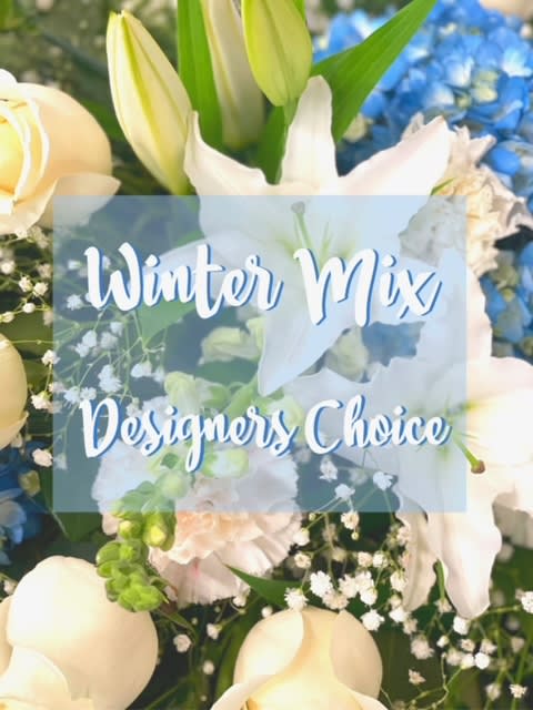 Winter designer choice - Let the designer choose for you