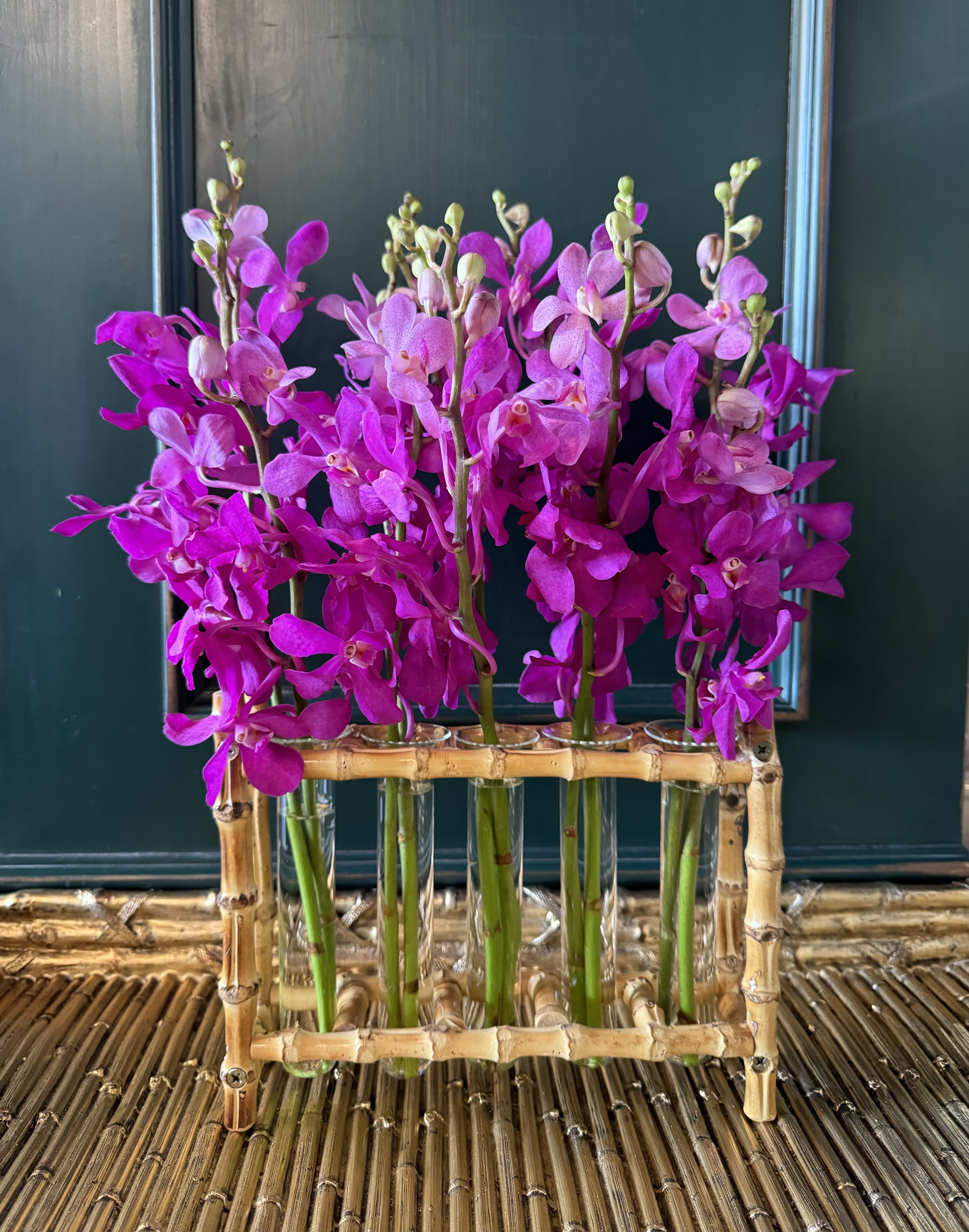 Bamboo Beauty - Bamboo Beauty is an elegant and striking arrangement featuring Makara orchids arranged in a sleek bamboo and glass vase.   Please Note: These exquisite orchids are known for their unique beauty, though they may not always be available. If necessary, they will be substituted with a different orchid variety, ensuring the same refined look and feel of the arrangement.  Freshness Guarantee: At Belden's Florist, we stand behind the quality of our products. Our flowers are guaranteed to remain fresh and beautiful for 3–5 days after delivery. While cut flowers may naturally start to wilt beyond this timeframe, we ensure that you receive the freshest blooms possible, carefully selected and expertly arranged to bring joy and elegance to your space. To help your flowers stay fresher longer, we recommend adding fresh water to the vase regularly. Just like you, flowers need hydration to thrive, and refreshing the water allows them to drink up and continue to dazzle you with their beauty.