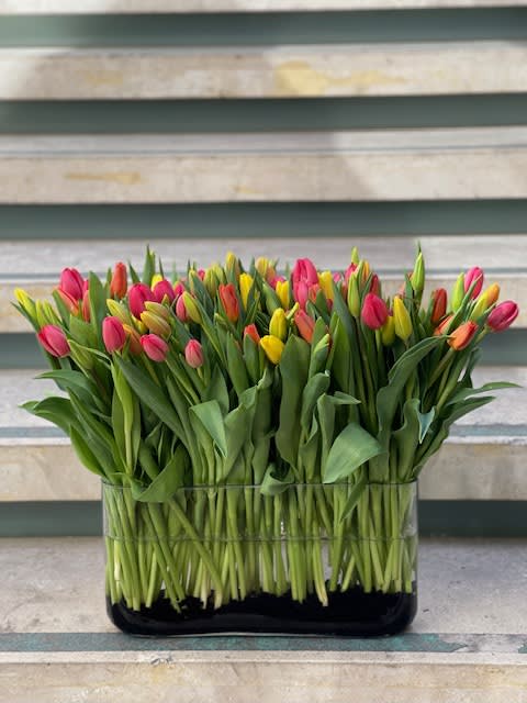 Passionate Radiance: Pink and Yellow Tulip Fusion - Immerse yourself in a world of vibrant emotion and cheerful energy with the &quot;Passionate Radiance&quot; bouquet, featuring a fusion of pink and yellow tulips. This captivating ensemble captures the essence of contrasting colors coming together in a harmonious dance of passion and positivity. With its dynamic blend of hues, this bouquet exudes a radiant presence that brightens any space.  This arrangement includes a newly cleaned vase and good quality water &amp; flower food.  Item: 522  Care Instructions: For the best vase life, change the water every two days.  Varieties and colors of flowers may vary according to season and availability.