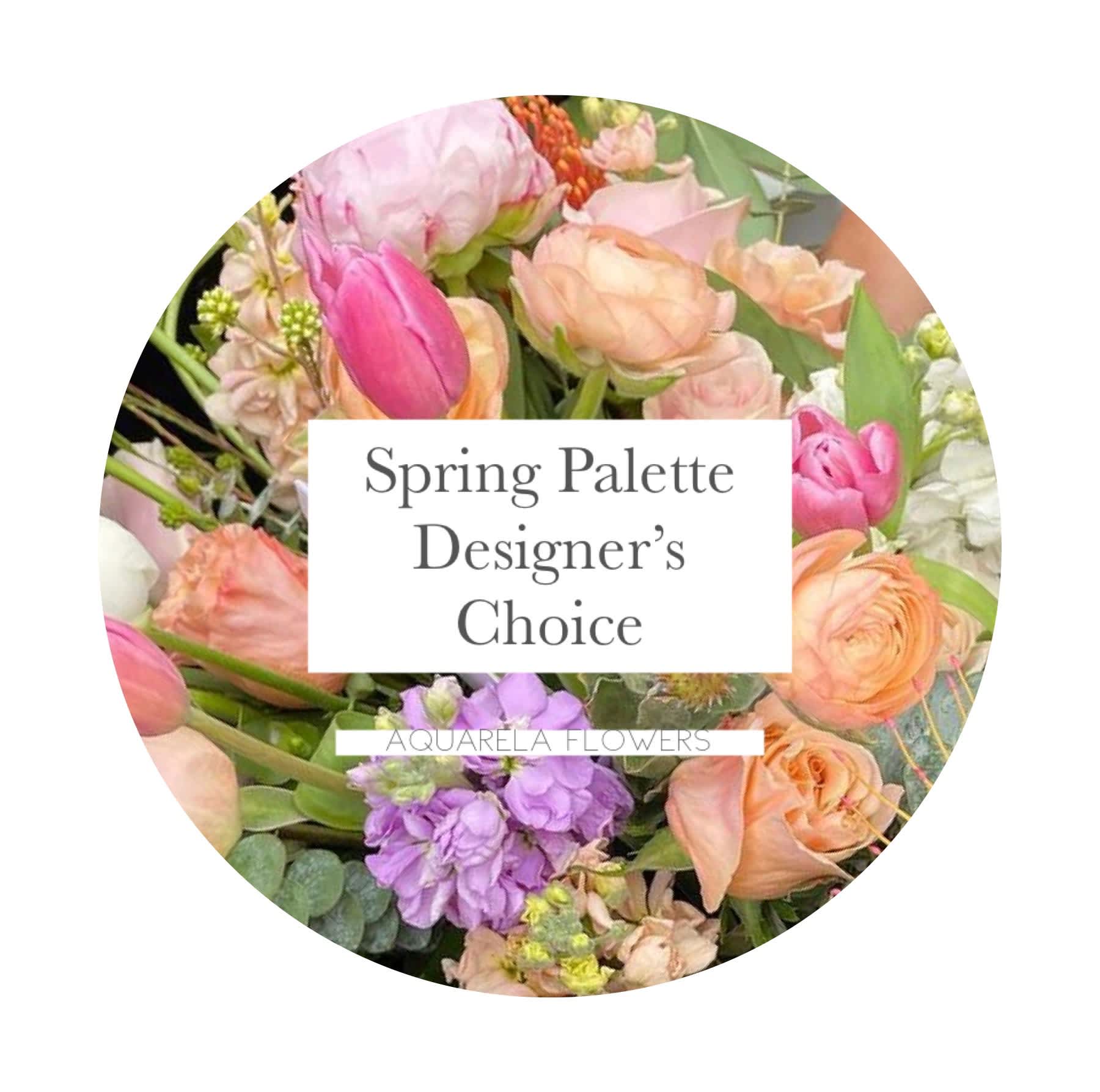 Spring Palette- Designer’s Choice - Let us create a beautiful spring arrangement using the freshest blooms of the day. Each piece features premium, unique flowers and Aquarela’s signature artistic design. The standard arrangement is approximately 10 inches tall and wide, while upgraded versions include a larger vase and an even more abundant selection of blooms, perfect for making a statement.