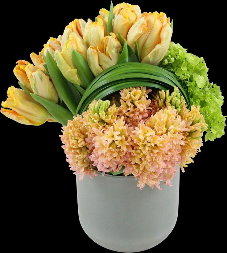 Spring Symphony: Green Hydrangea, Hyacinth, and Tulip Arrangement - &quot;Spring Symphony&quot; is a harmonious floral arrangement that captures the essence of spring with a delightful combination of green hydrangeas, fragrant hyacinths, and vibrant tulips. This arrangement celebrates the beauty of the season with a medley of textures and colors, creating a symphony of freshness, fragrance, and natural elegance. Join us as we explore the enchanting world of &quot;Spring Symphony,&quot; where each bloom contributes to a lively and vibrant display.  Varieties and colors of flowers and planters may vary according to season and availability. This arrangement includes a newly cleaned vase and good quality water &amp; flower food.  Care Instructions: For the best vase life, change the water every two days.  Item: 1728