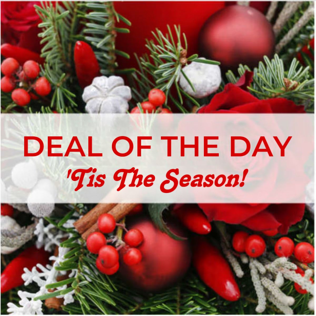 Holiday Deal of the Day - Let our designers create a beautiful Holiday-themed vase arrangement with our freshest in-stock blooms of the season. Arrangement may include the colors of Red, White, and Green based on our current inventory of flowers.   NOTE: Specific color or flower requests are not available for this item.
