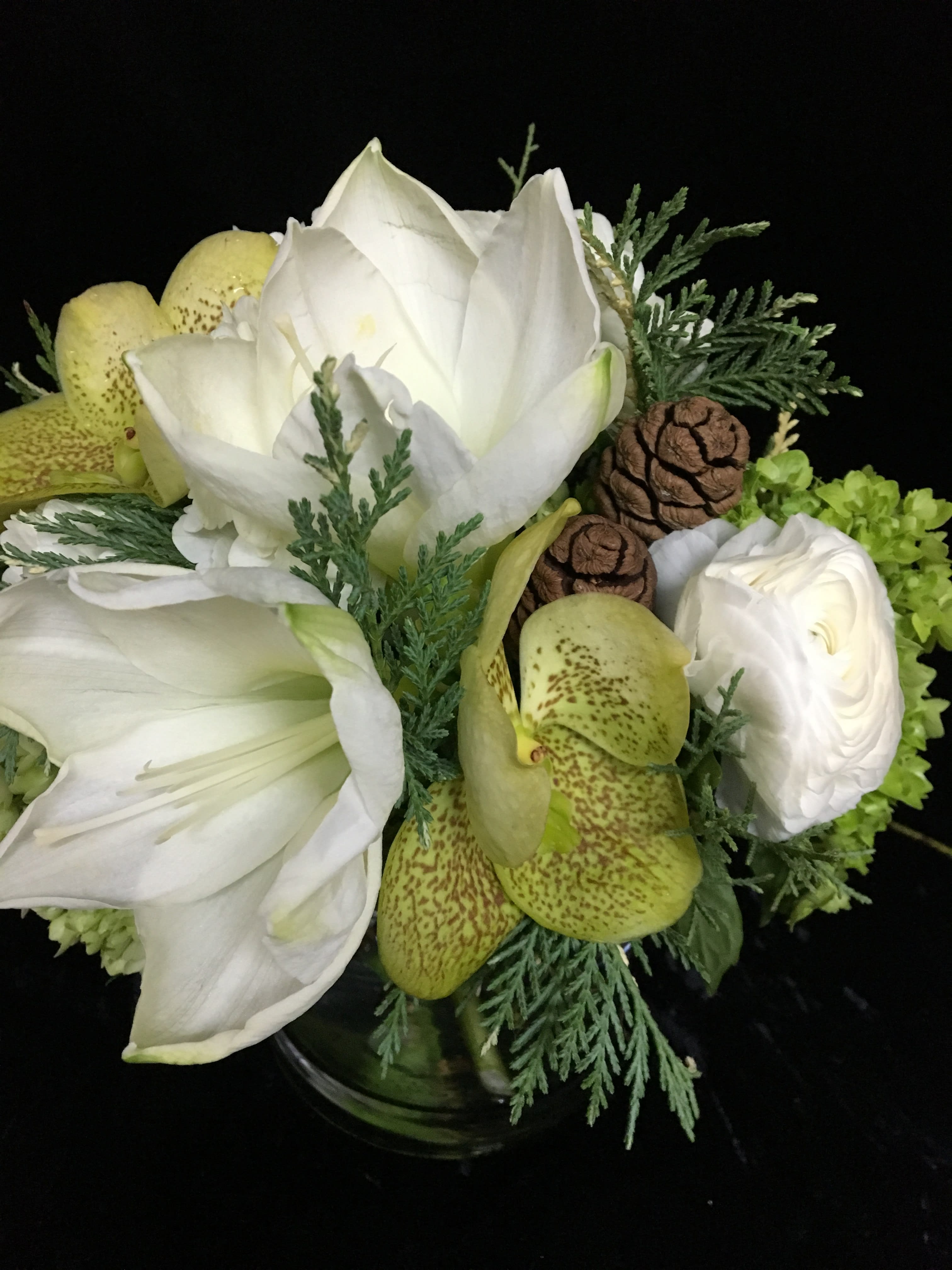 Nature's Winter - Poised neutral tones captures the winter tones