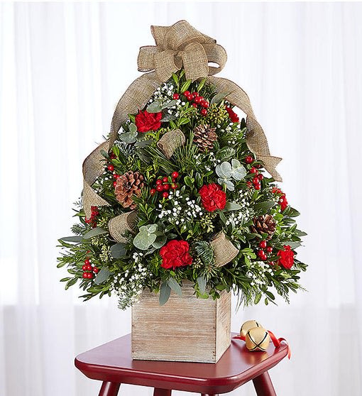 Cozy Cabin Holiday Flower Tree - An even cozier version of our perennial favorite, this year’s holiday flower tree delivers big on warm, country charm. Set in a natural wood-grain cube planter, our compact tree is handcrafted of fragrant evergreens with red blooms and trimmed with faux berries, pinecones and a bow of rustic burlap ribbon for a charming twist on traditional.  Tree-shaped arrangement with red mini carnations, gypsophila, seeded and spiral eucalyptus, boxwood, assorted Christmas greenery, red berry picks, and a burlap bow topper Arrives in a rustic natural grain wood cube container; measures 5&quot;W x 5&quot;L Arrangement measures overall approximately 17&quot;H x 12&quot;W