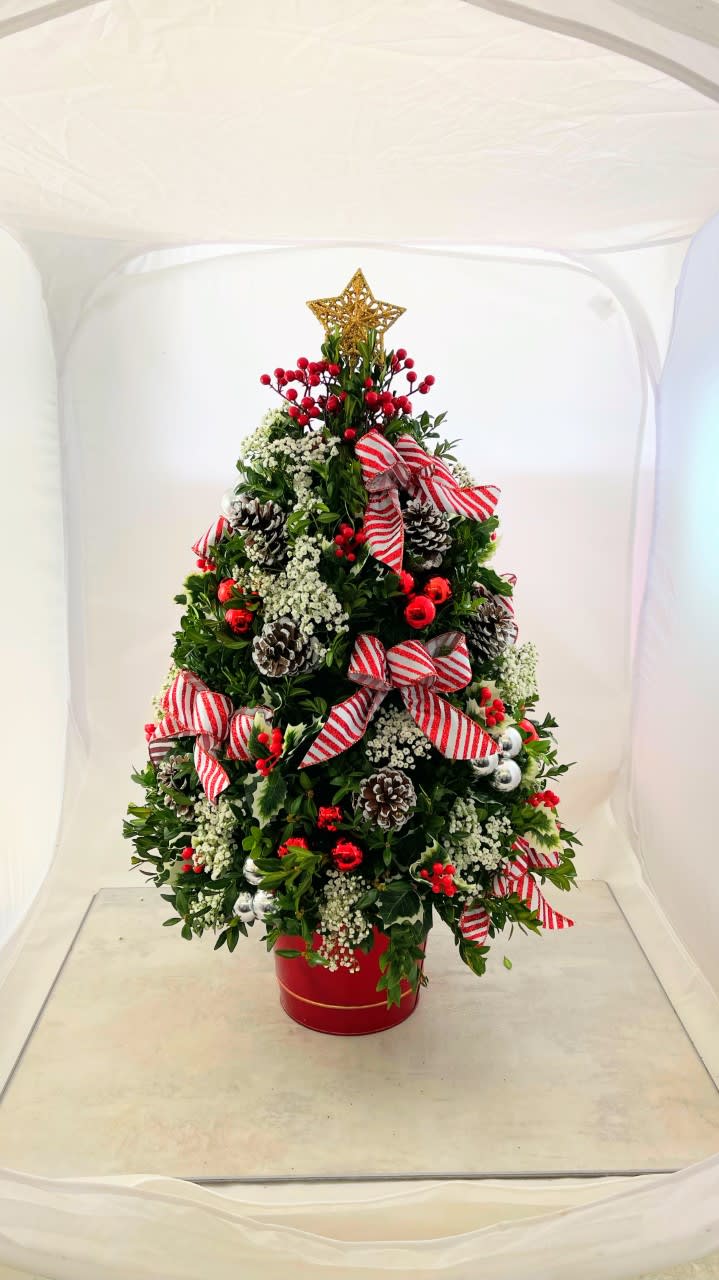Christmas Traditions Boxwood Tree - Popular since the mid 1800's the Christmas Boxwood Tree brings joy and happiness to all who receive them.  Ribbons, bows berries and balls adorn this holiday treat to be enjoyed all though out the holiday season. This Christmas treat measures 26&quot; tall!