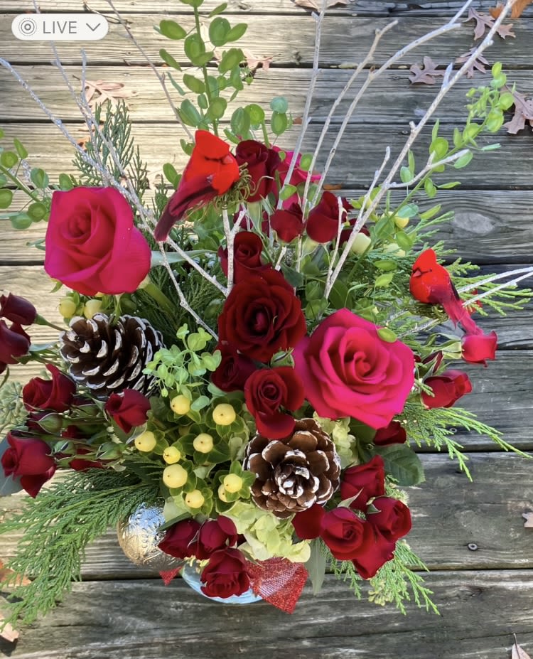 Colorful Holiday  - Colorful seasonal blooms, accented with cones, twigs, berries and red cardinals.