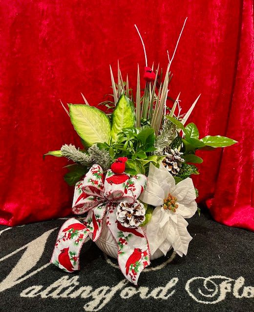 ALL JAZZED UP - A traditional dish garden all decked out for the holidays! This is perfect for the person who loves plants!