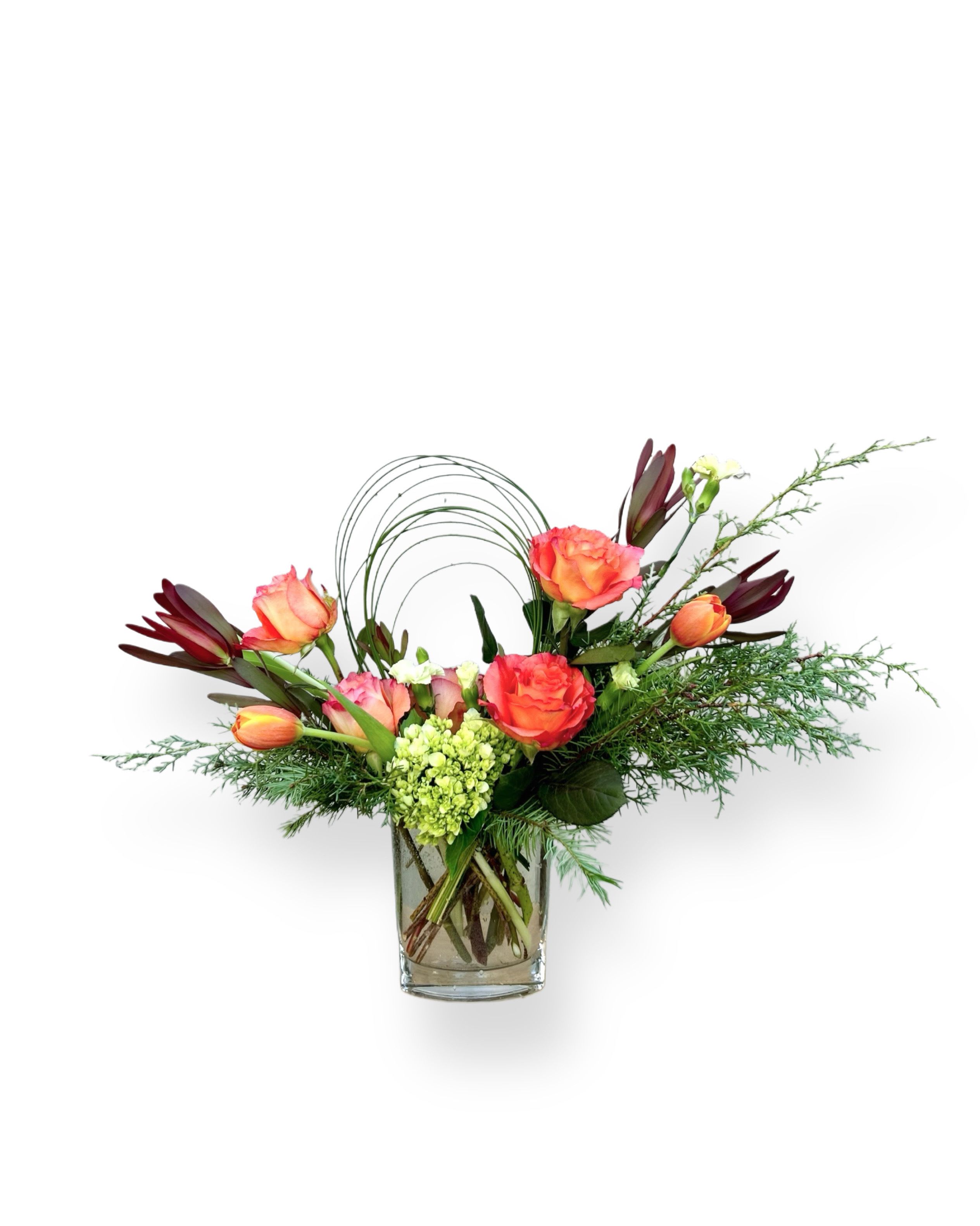 Winter Citrus - Winter Citrus is a bright, modern floral arrangement designed to bring warmth to the colder months. Coral roses, tangerine tulips, and deep burgundy accents create a vivid citrus-inspired palette, balanced with seasonal evergreens and soft hydrangea. Sculptural arcs of bear grass give the design a clean, contemporary silhouette, making this centerpiece ideal for winter décor, holiday gifting, or refreshing any room with a burst of color.  Crafted to bring light and energy into the season, Winter Citrus blends winter greenery with warm-toned blooms for a fresh, uplifting arrangement that feels at home on holiday tables, kitchen counters, or entryway displays.