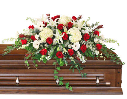 Peace Always Casket Spray - This stunning sympathy arrangement exudes elegance and grace, artfully blending a rich palette of white and red blooms to convey heartfelt condolences. At its core, three large white hydrangea create a soft and lush foundation, complemented by seven stems of delicate white larkspur and seven fragrant white stock, adding layers of texture and purity. Five cheerful white gerberas and three pure white lilies bring a touch of brightness and compassion, while the vibrant 18 red roses infuse a bold and passionate essence, symbolizing love and remembrance. The arrangement is beautifully framed by an arrangement of ivy, ruscus, and salal foliage, with seven stems of safari sunset leucadendron introducing a subtle pop of warmth and depth. Together, this captivating composition offers a poignant tribute, honoring the memory of a loved one with grace and beauty.